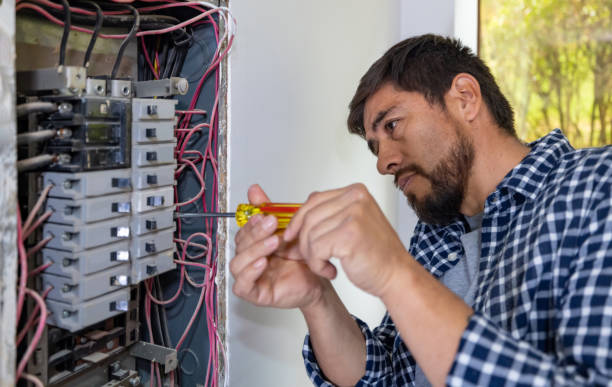 Best Local Electrician Companies  in Oriole Beach, FL